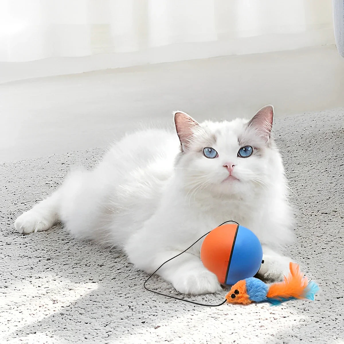 Interactieve katten speeltjes – Blijf samen in beweging