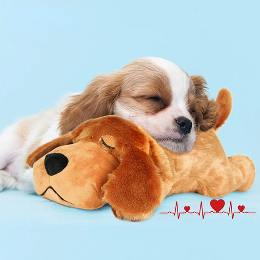 Verjaardag hond cadeaubox – Vier feest in stijl