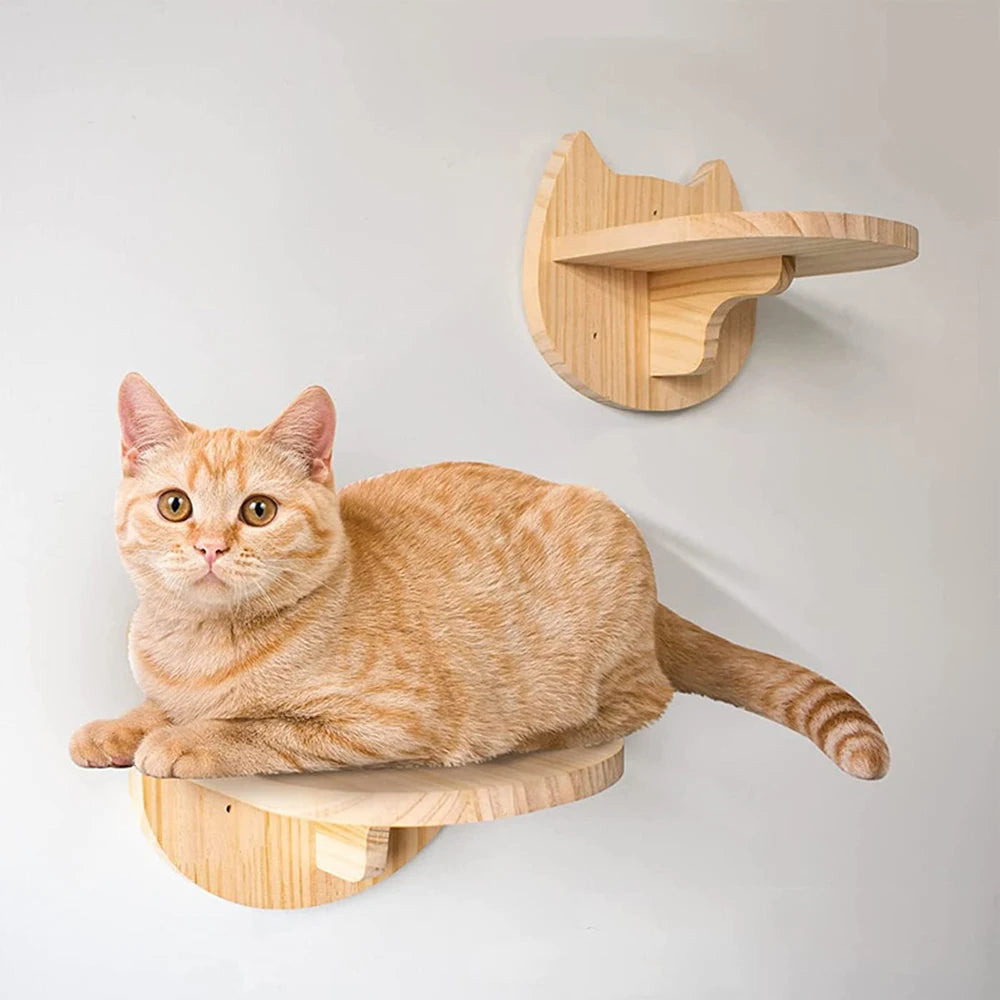 Kattenpaal Maine Coon – Extra groot voor grote katten