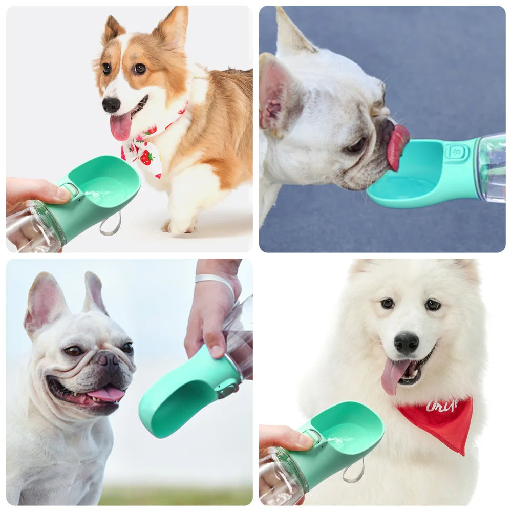 Feestdoos voor hond verjaardag – Alles in één