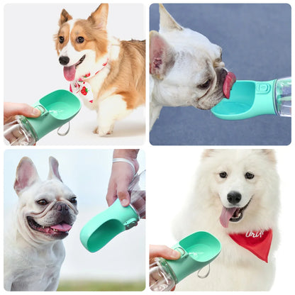 Feestdoos voor hond verjaardag – Alles in één