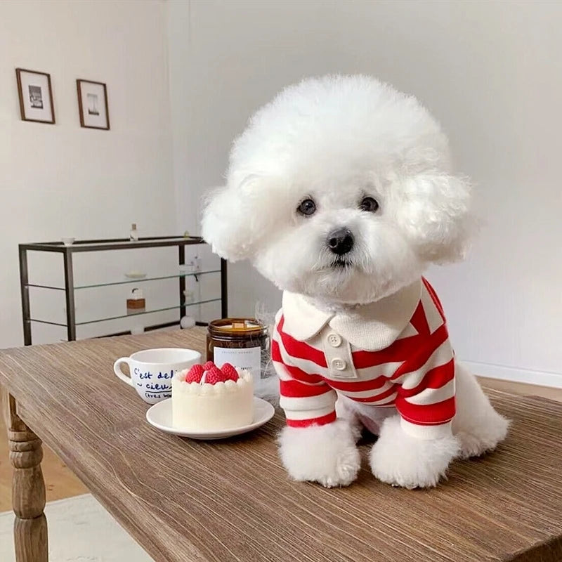 Honden cadeaubox met snacks – Heerlijk en vrolijk