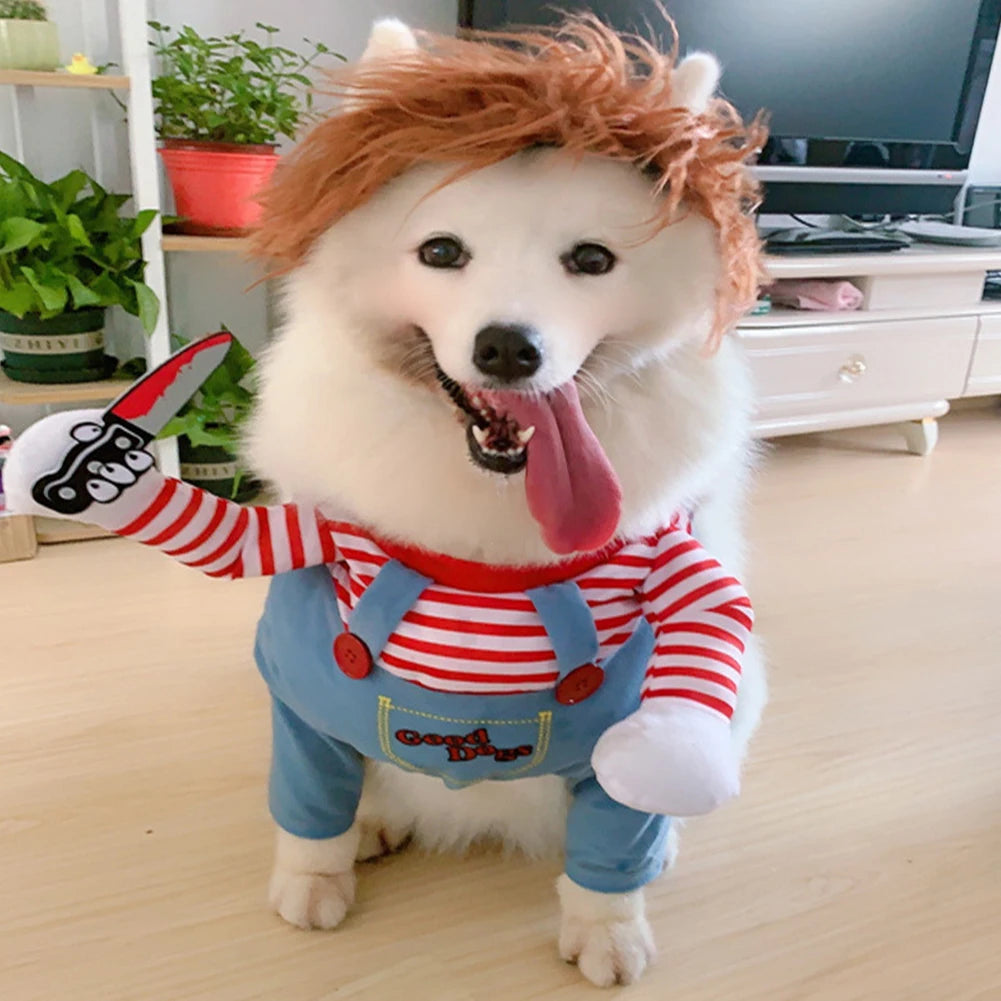 Cadeau hond met verjaardagshoed – Klaar voor het feestje