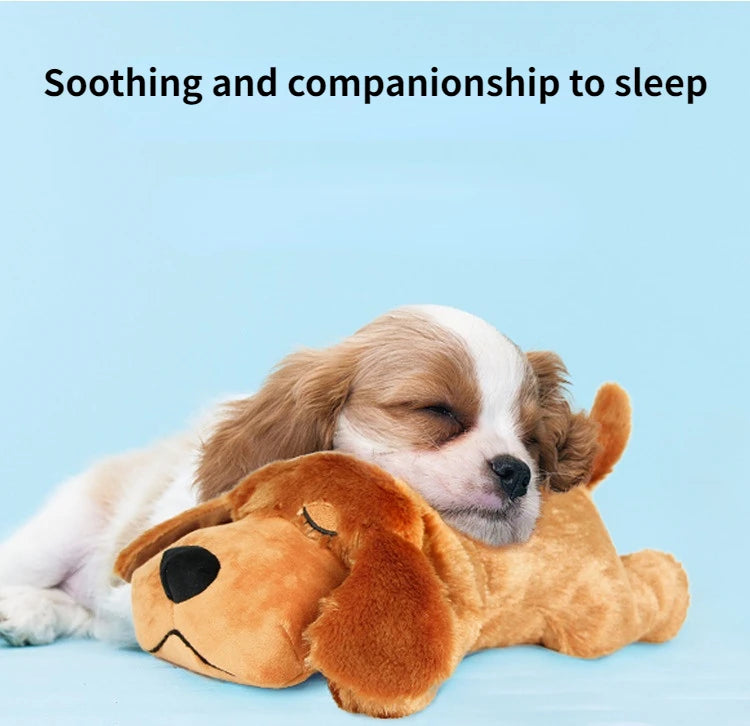 Cadeau voor honden en baasjes – Een dubbel plezier