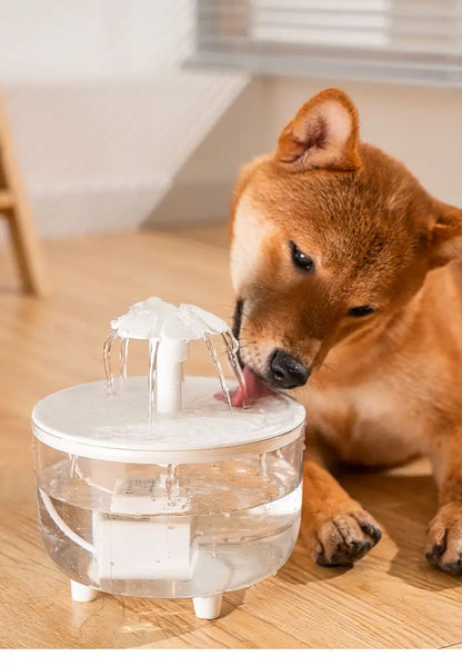 Design waterfontein voor katten – Past in elk interieur