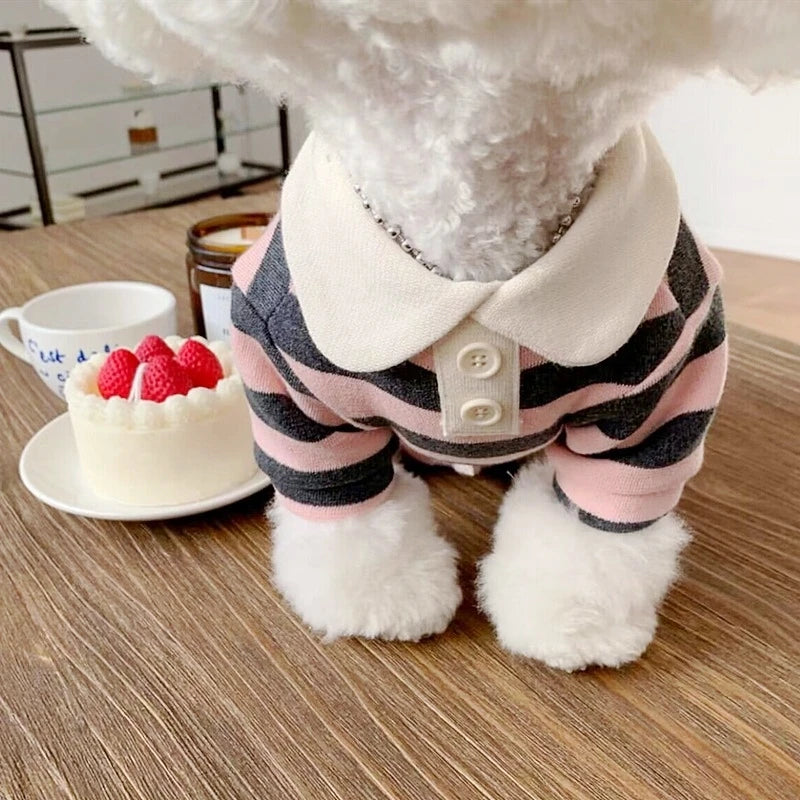 Verjaardag hond cadeaubox – Vier feest in stijl