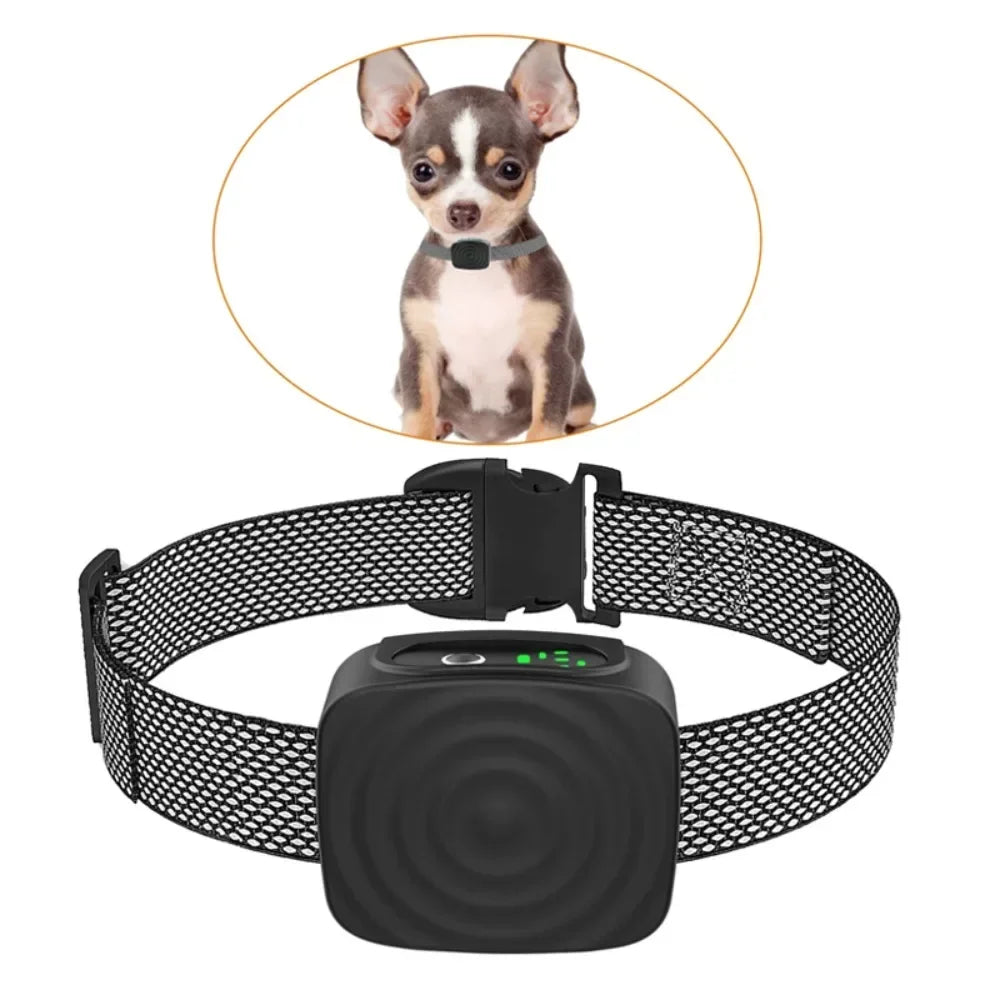 Cadeaupakket hond met ballen en snacks – Spelen en snoepen