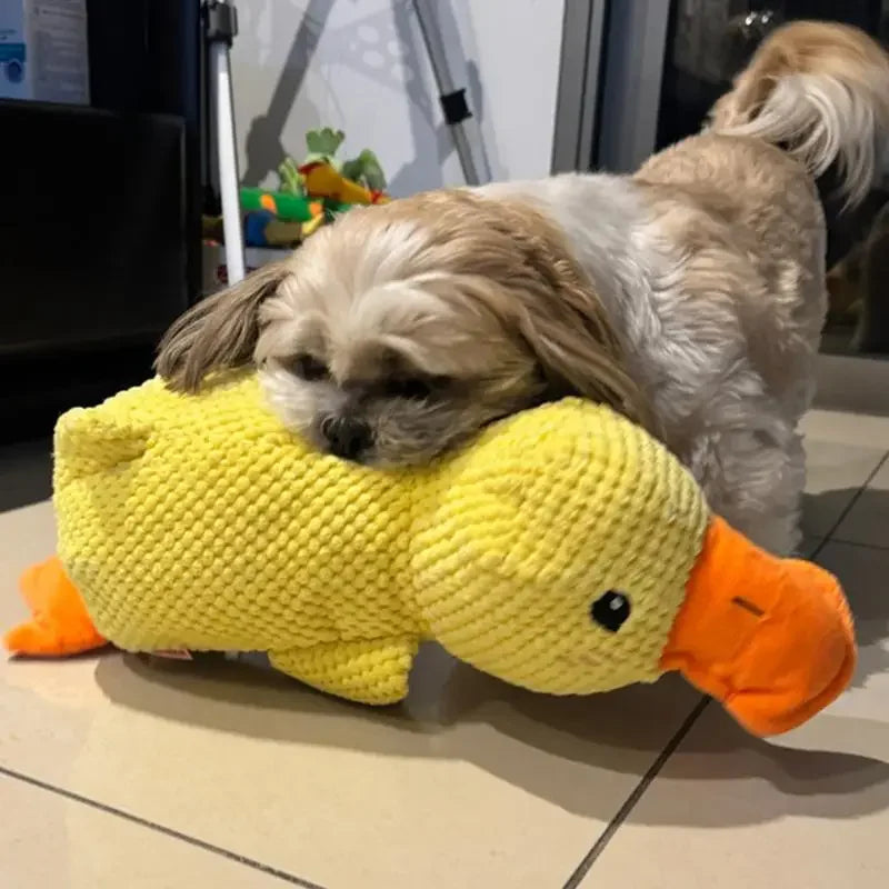 Cadeau hond pup – Veilig en zacht speelgoed