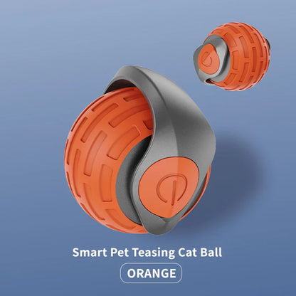 Leuk kattenspeeltje voor jachttraining – Slim en actief