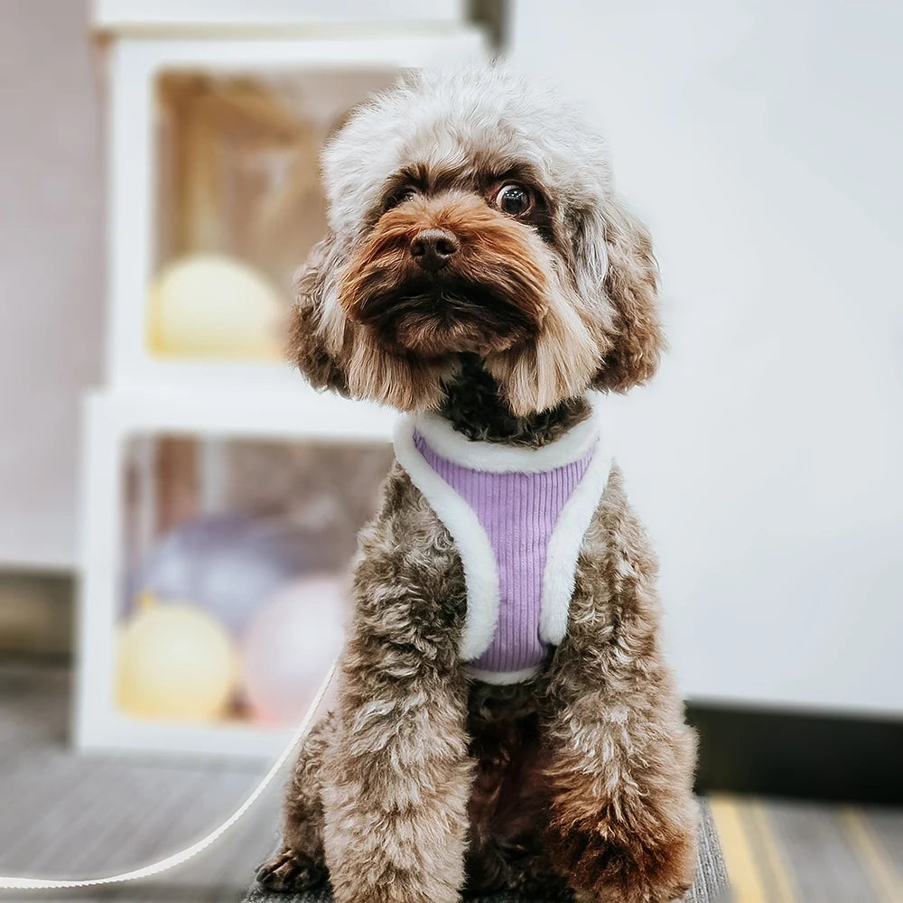 Tuigje voor grote honden – Stevig en betrouwbaar