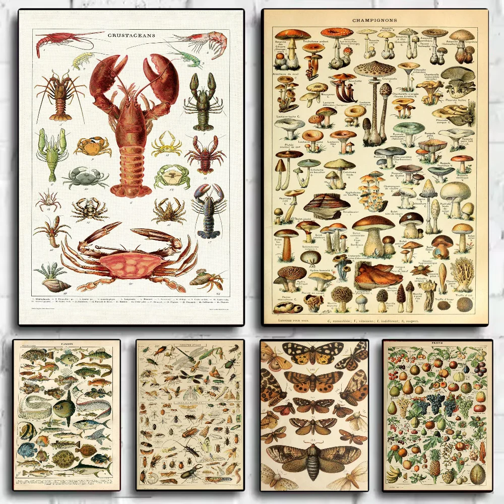 Poster van een cactus of andere plant