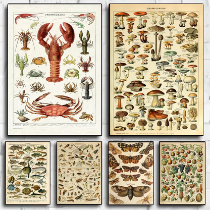 Poster van een cactus of andere plant
