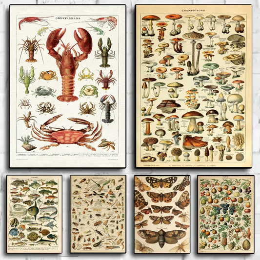 Poster van een cactus of andere plant