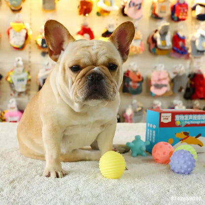 Cadeauset hond verjaardag – Spelen en knabbelen