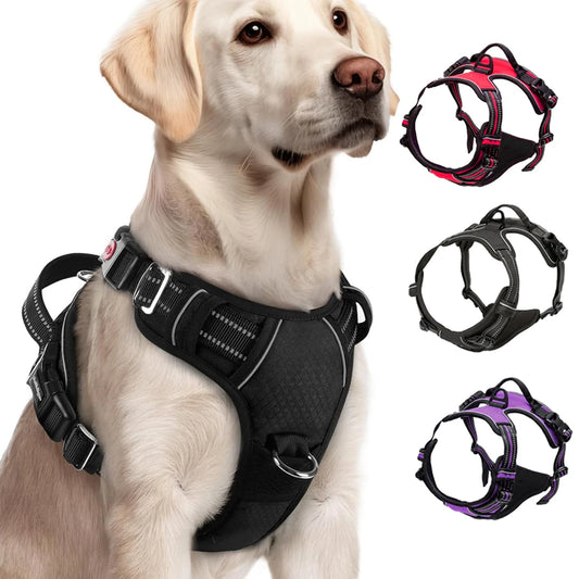 Tuigje honden met reflecterende strepen – Veilig op pad
