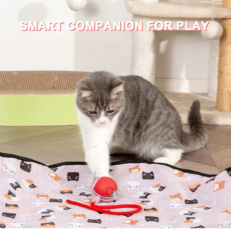 Katten speeltjes Action mix pack – Voor elke kat iets leuks