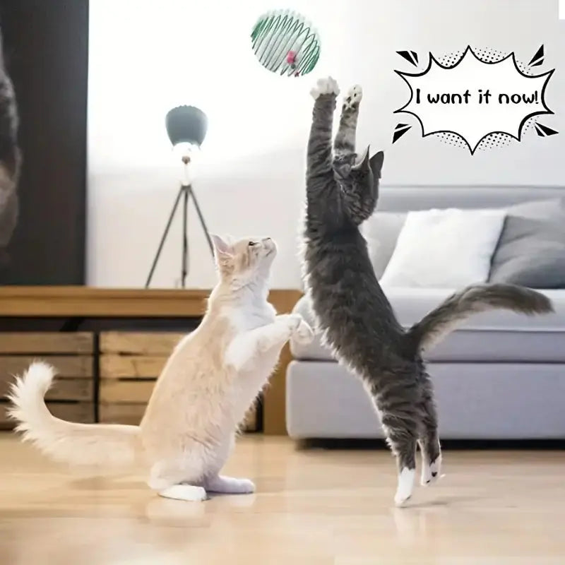 Speelbal voor katten – Rollend plezier