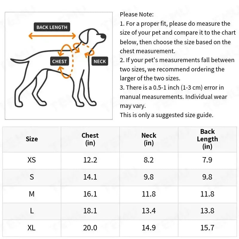 Vrolijk cadeau voor hond – Een feestje in een doos