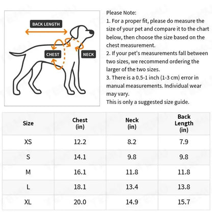 Vrolijk cadeau voor hond – Een feestje in een doos