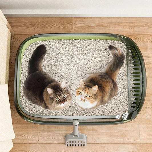 Automatische kattenbak met opvangsysteem – Hygiënisch en makkelijk