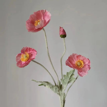 Decoratieve klimrekken als tuinaccent