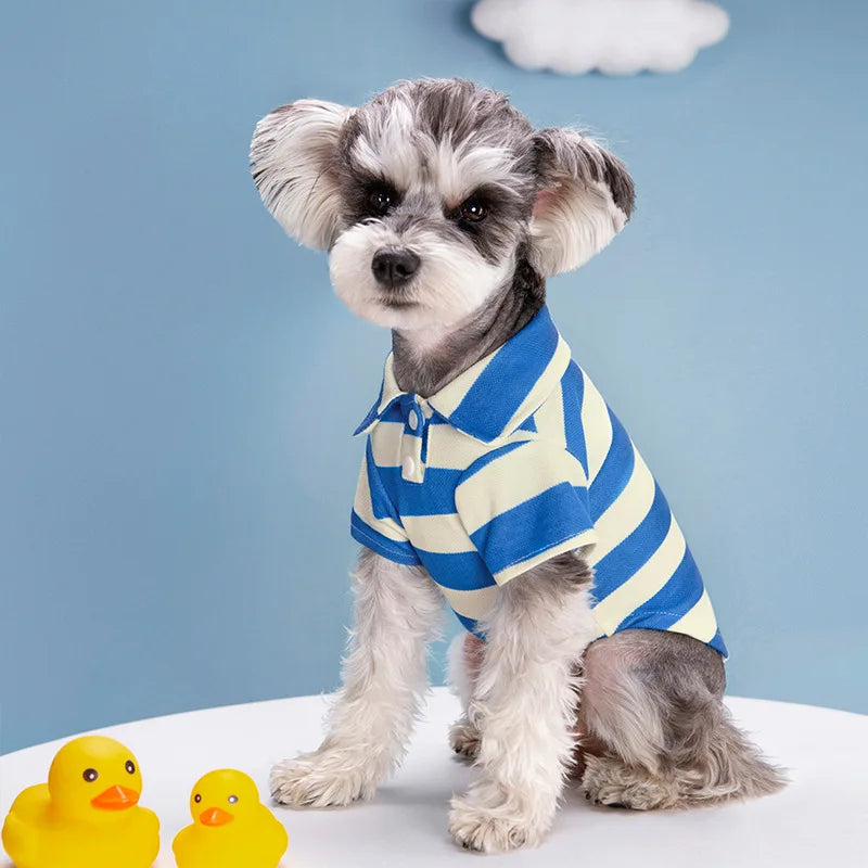 Cadeau hond met speeltjes – Spelen, bijten, genieten
