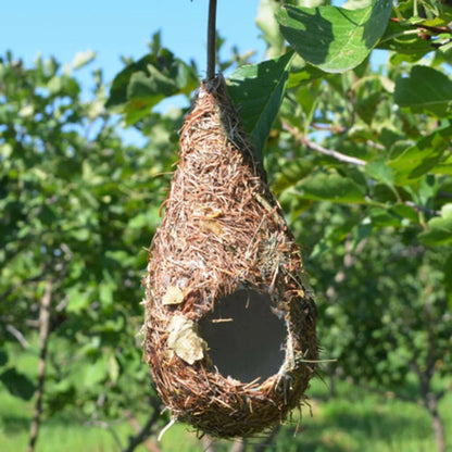 Gamma houten vogelhuisje – Eenvoudig en stevig