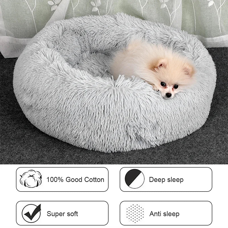 Cadeauset hond verjaardag – Spelen en knabbelen