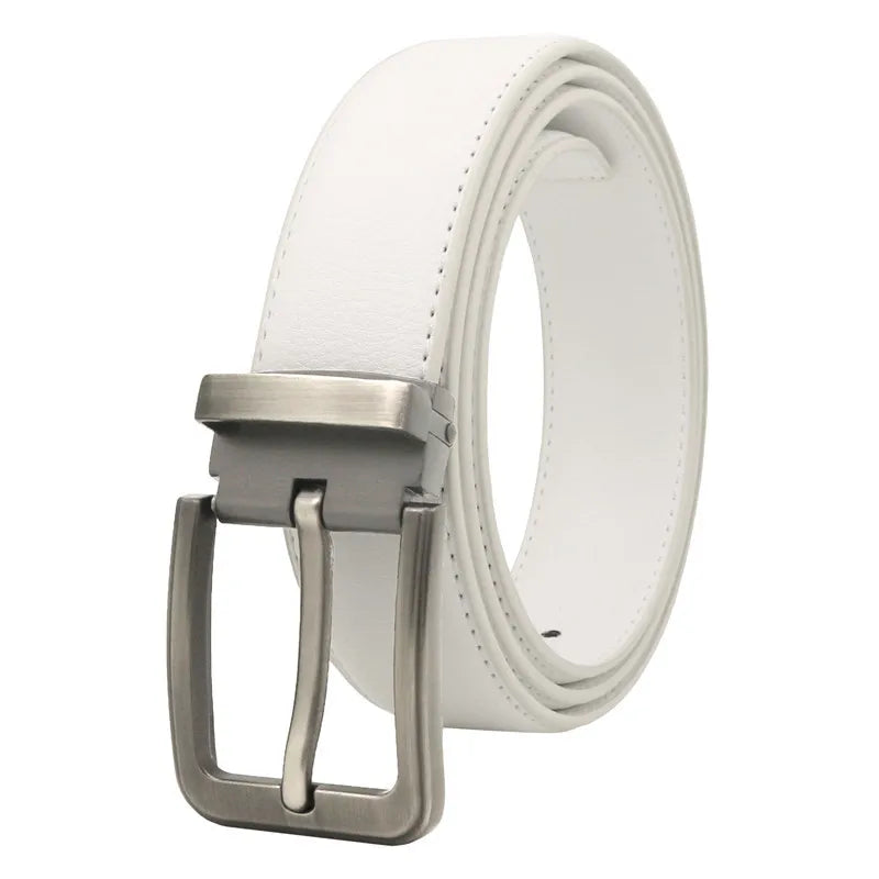 Riem heren met geborstelde metalen gesp