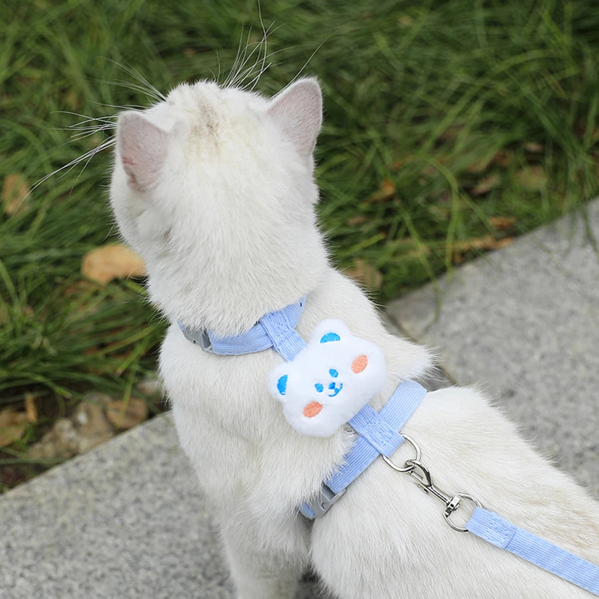 Zacht tuigje hond met brede banden – Comfort zonder knellen