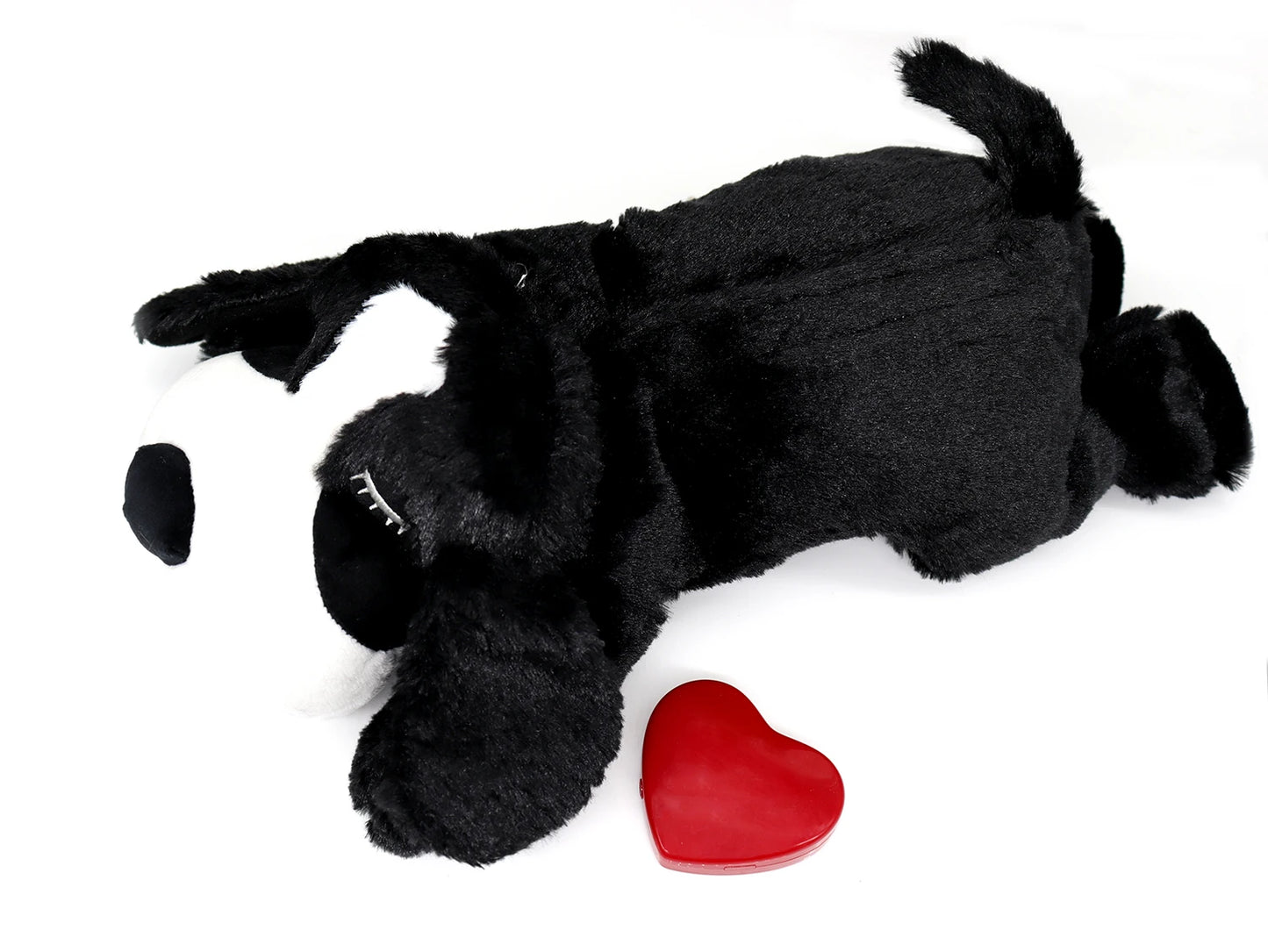 Cadeau voor hond met lekkers – Smullen gegarandeerd