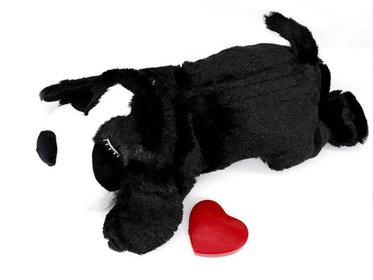 Cadeau voor hond met lekkers – Smullen gegarandeerd