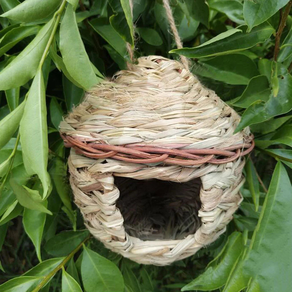 Vogelhuisje op paal hout – Rustiek en stabiel