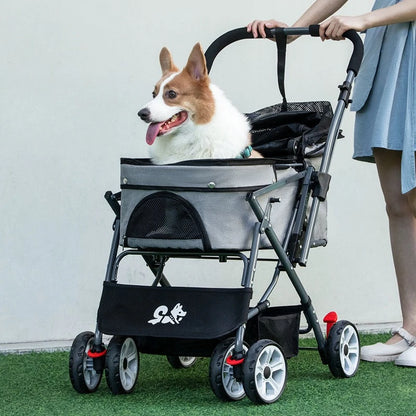 Hondentas voor kleine hondjes – Veilig en lichtgewicht
