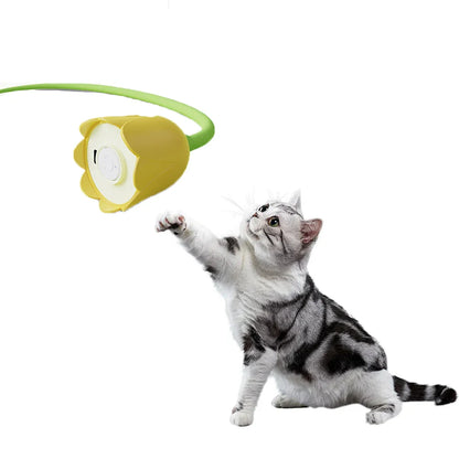 Kattenspeeltjes met bal en spoor – Rollercoaster effect