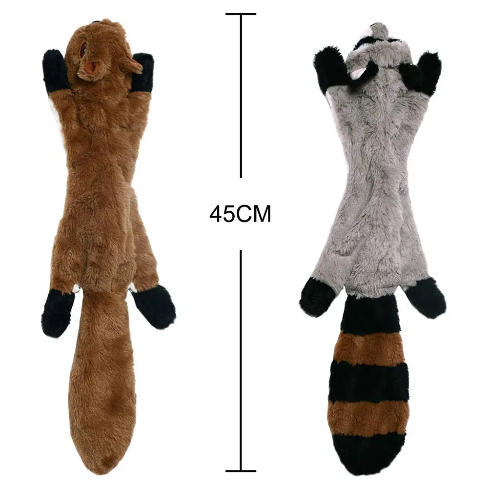 Cadeau hond – Verras je trouwe viervoeter