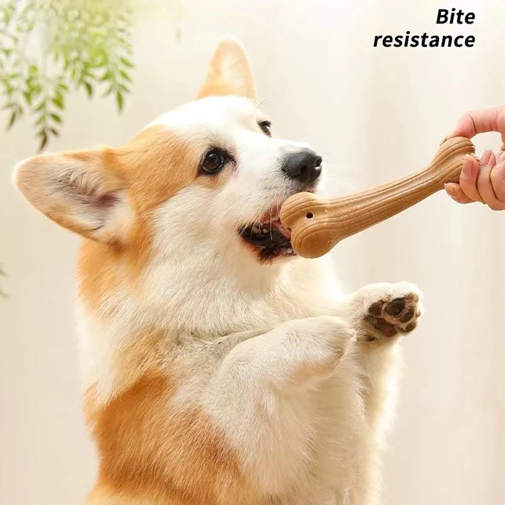 Cadeautas hond – Vol speelgoed en liefde