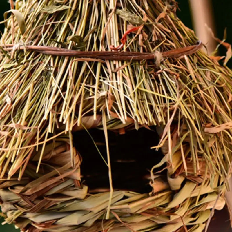 Vogelhuisje kopen bij tuincentrum – Groot assortiment