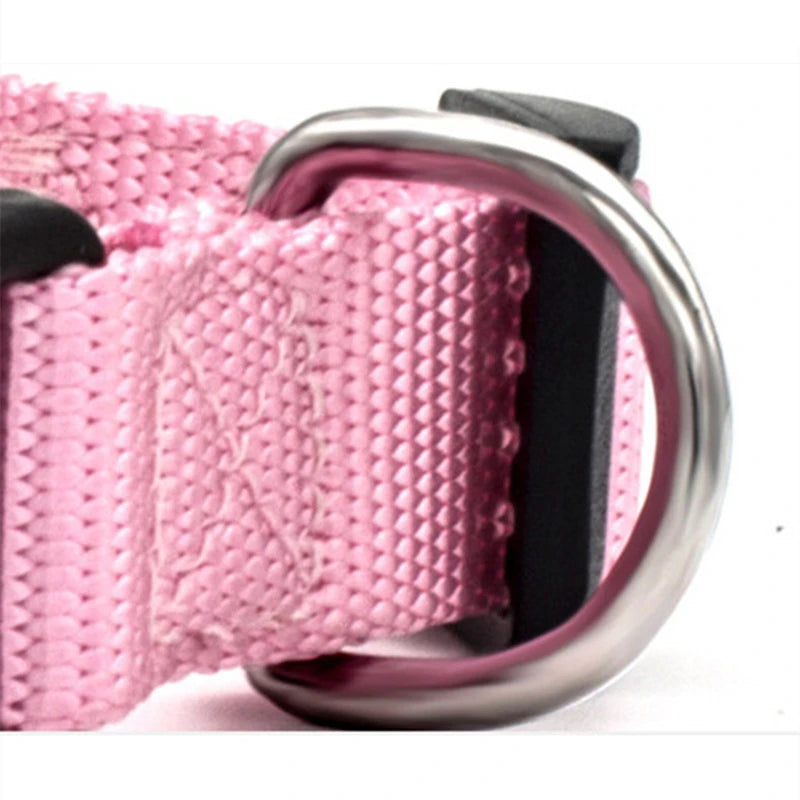 Cadeaupakket hond met knuffel – Lief en zacht