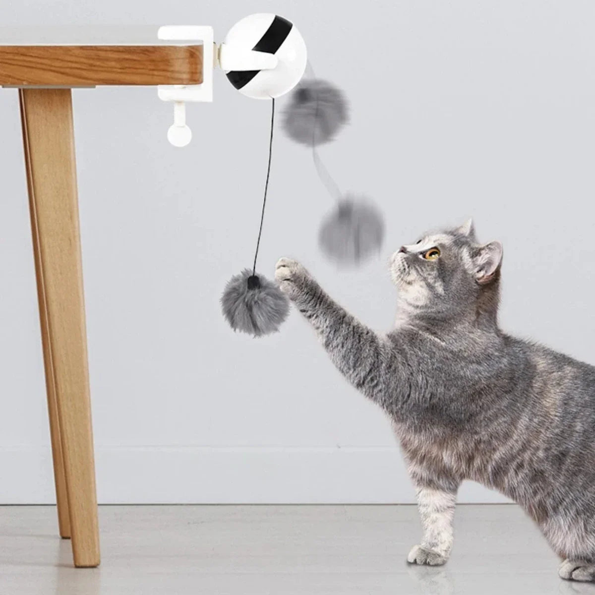 Speelbal met bel voor kat – Klein en uitdagend