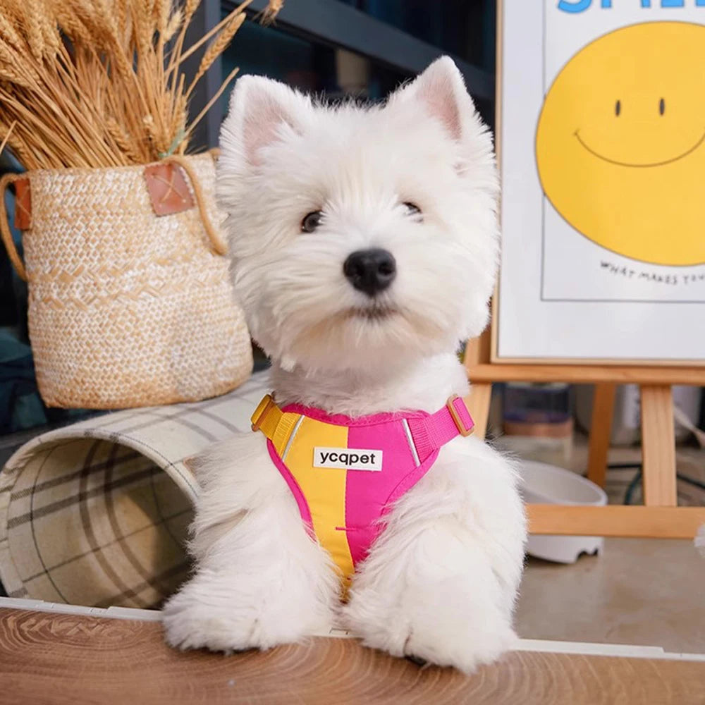 Tuigje voor hond met borstband – Evenwichtige drukverdeling