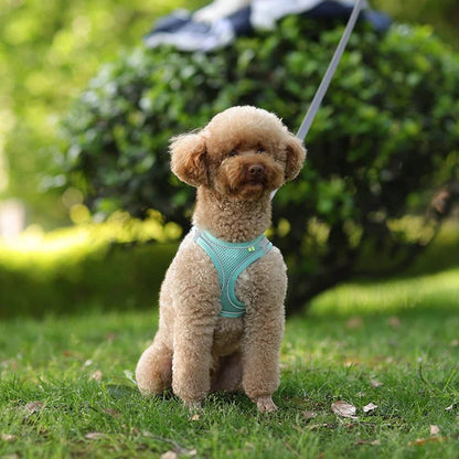 Action honden tuigje met kleuraccent – Leuk en opvallend