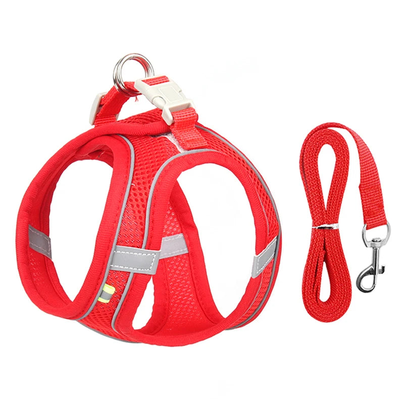 Cadeau hond verjaardagset – Compleet met feestmuts