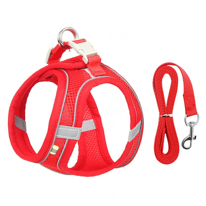 Cadeau hond verjaardagset – Compleet met feestmuts