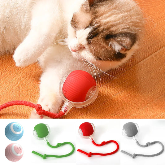 Kattenspeeltjes Action top 5 – Meest geliefd