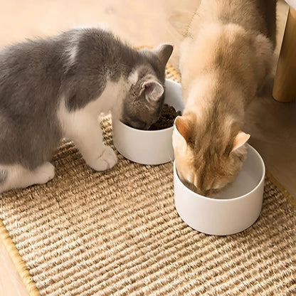 Kattenmand met opstaande rand – Voor extra geborgenheid