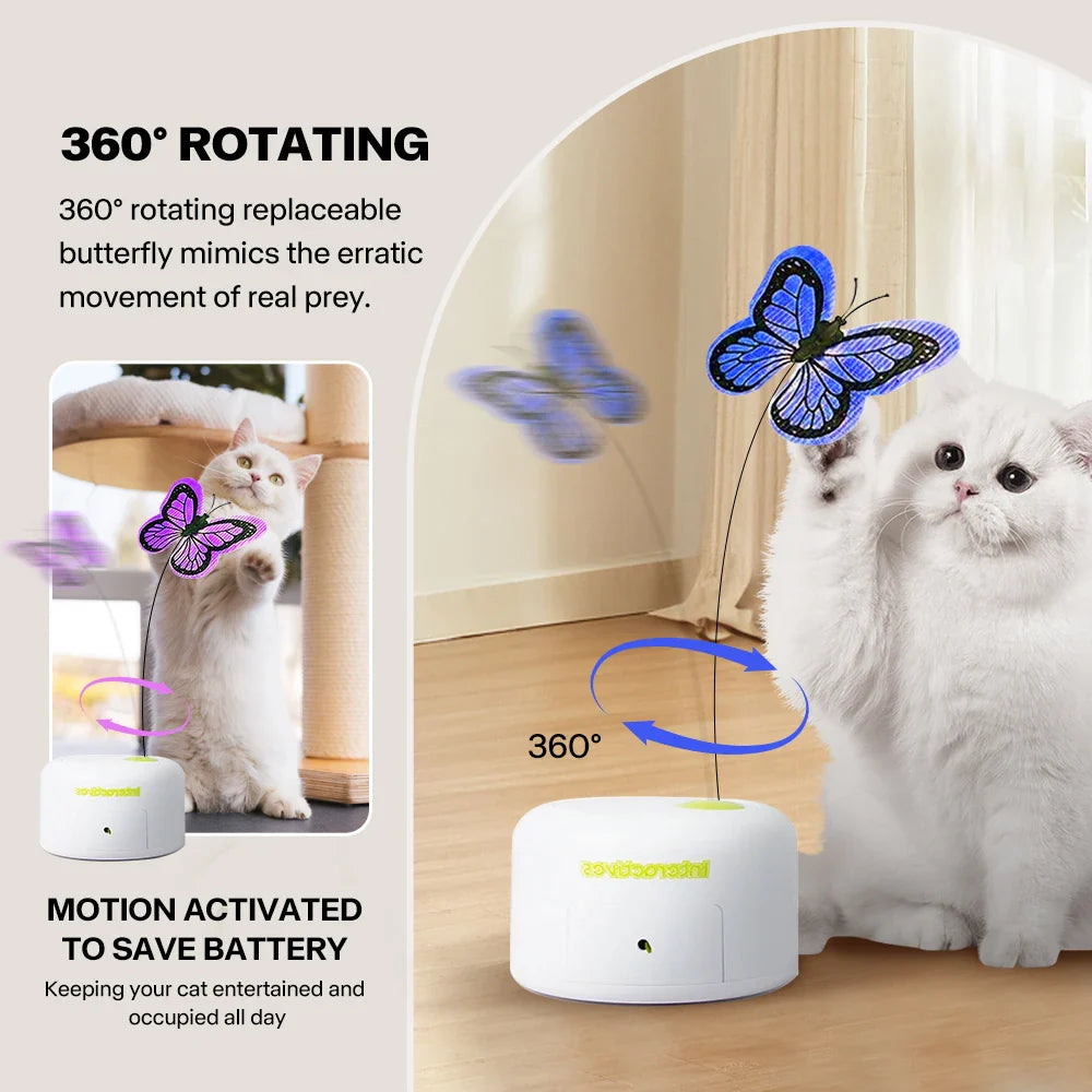 Leukste kattenspeeltjes met pluche – Zacht en schattig