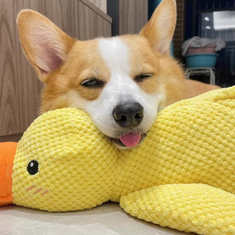 Cadeaupakket hond met knuffel – Lief en zacht