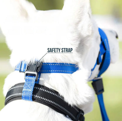 Tuigje hond met minimalistisch design – Licht en effectief