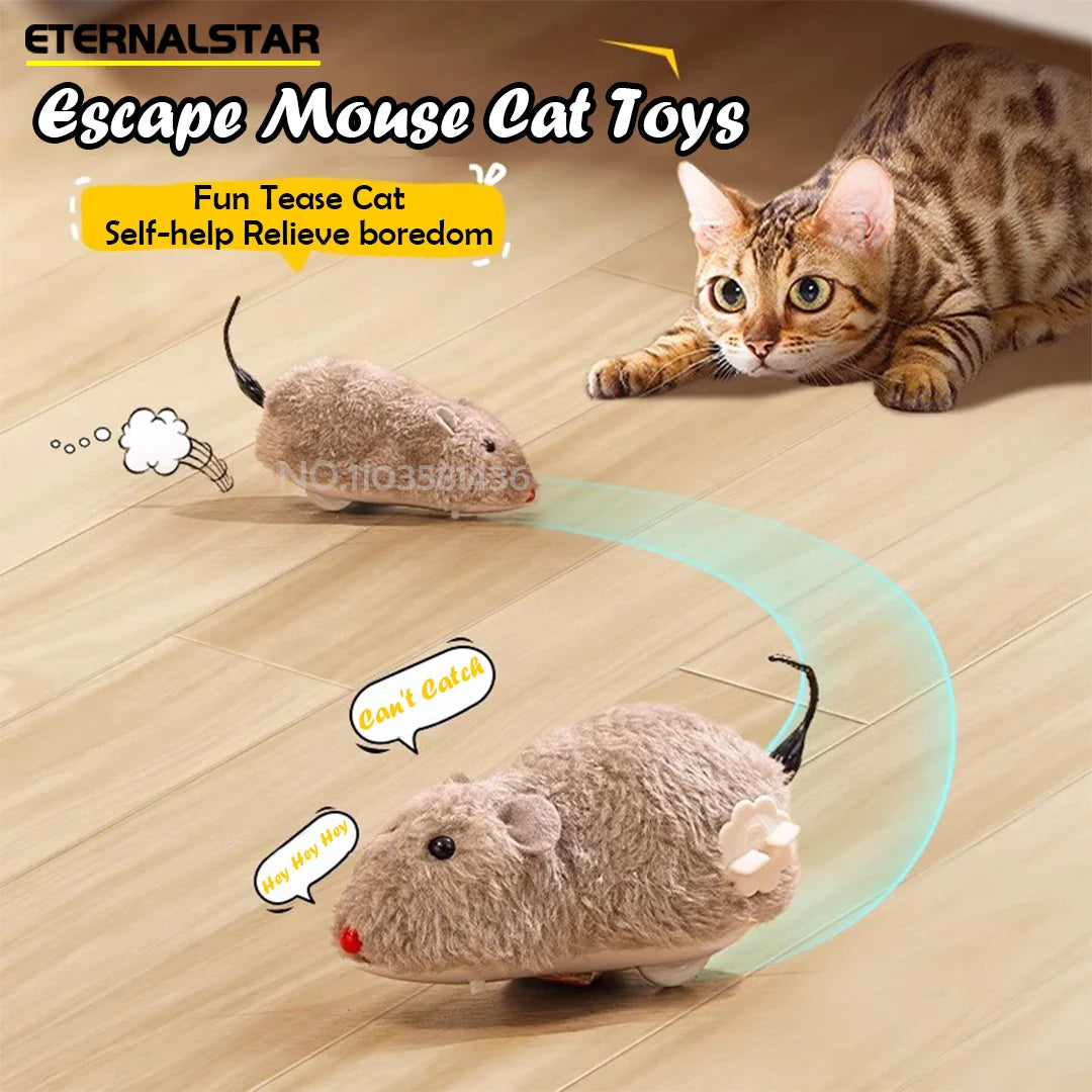Kattenspeeltje met veerstaart – Onweerstaanbaar